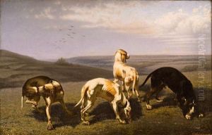 Cani Da Caccia In Paesaggio by Christophe Cathelinaux