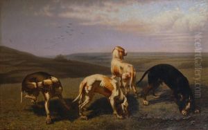 Cani Da Caccia by Christophe Cathelinaux