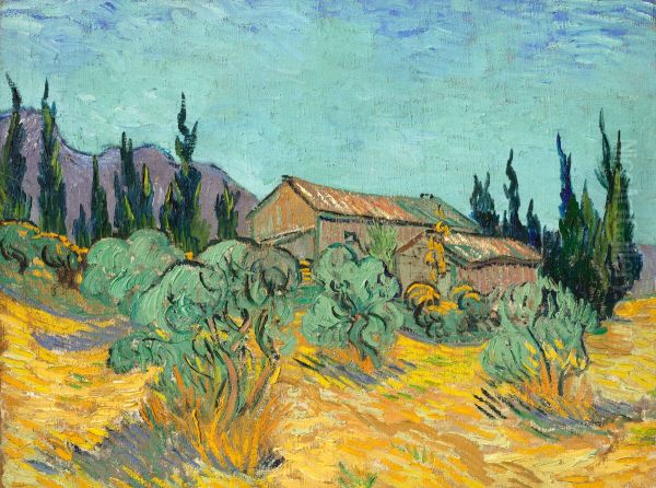 Huts surrounded by olive trees and cypresses - view 1