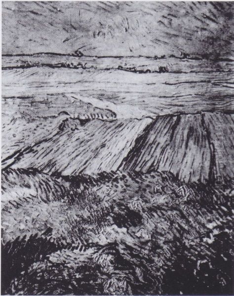 Wheat fields - view 1