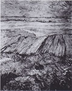Wheat fields by Vincent Van Gogh