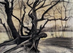 Tree roots in a sandy ground ('Les racines')