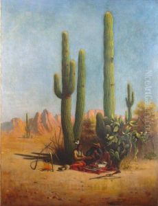 Giant Cacti in Southern Arizona
