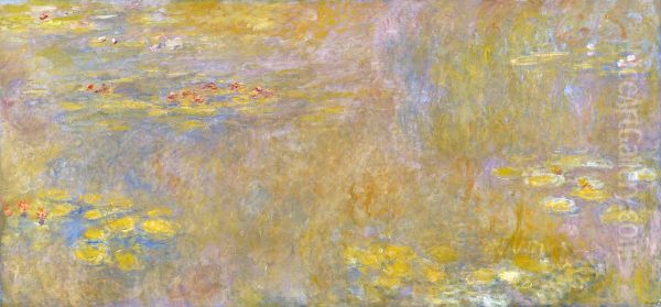 Water-Lilies - view 1