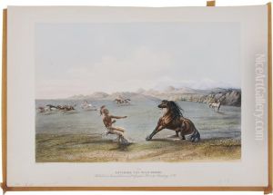 Catching The Wild Horse by George Catlin
