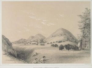 Buffalo Hunt, Approaching A Ravine by George Catlin