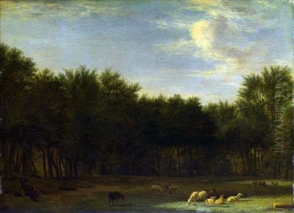 The Edge of a Wood - view 1