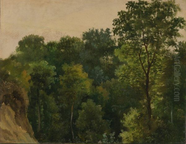 Tree study - view 1