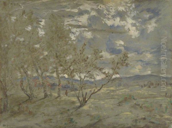 Landscape - view 1