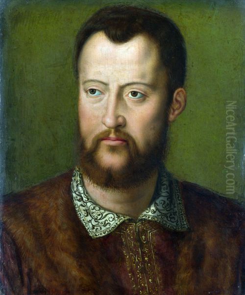 Portrait of Cosimo I de\ - view 1