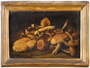 Natura Morta Di Funghi by Paolo Cattamara