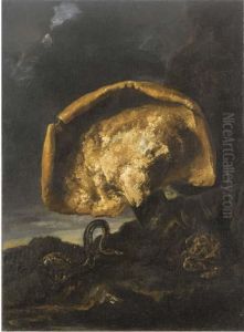 Un Fungo, Una Biscia, Un Rospo E Una Farfalla by Paolo Cattamara