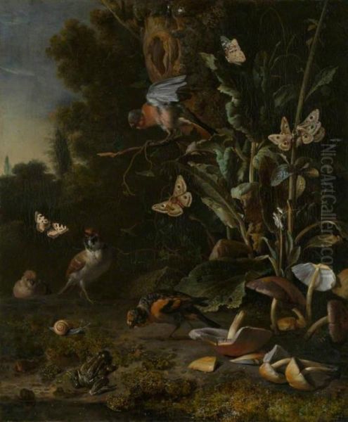 Birds, Butterflies and a Frog among Plants and Fungi - view 1