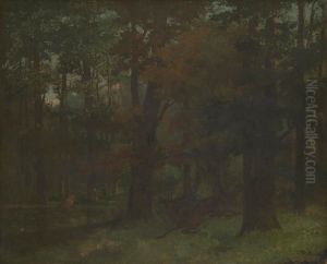 In the Forest