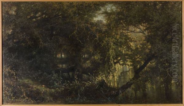 The pond at Oosterbeek - view 1