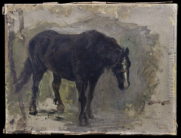 Studie van een staand paard, - view 1