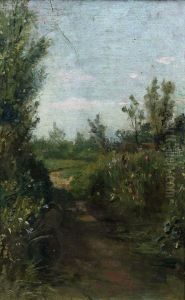 Weg in het bos,