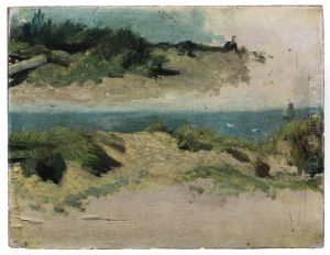 Duinen en zee,
