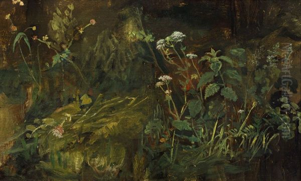 Plekje met wild kruid, - view 1