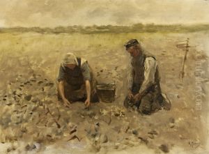 On the field by Anton Mauve
