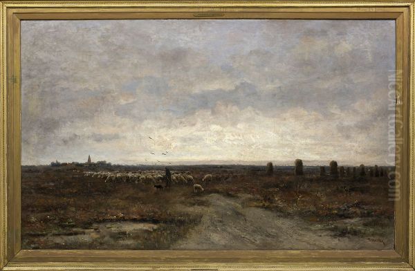 Heide met schapen bij Vries, - view 1