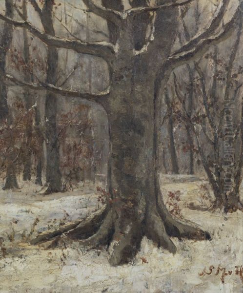 Bosgezicht in de winter - view 1
