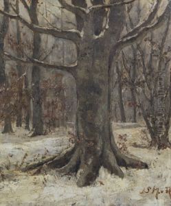 Bosgezicht in de winter