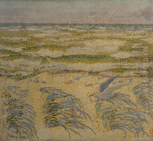 Dune and Sea Dune and Sea