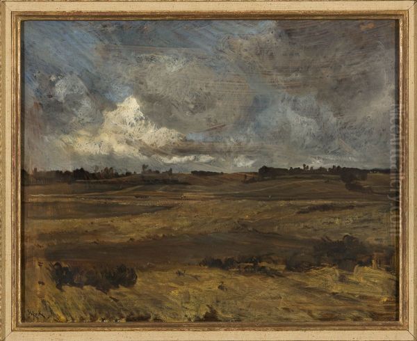 Landschap in Limburg - view 1
