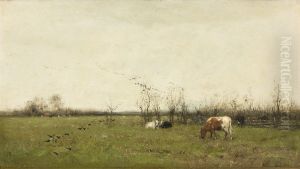 Weidelandschap Weidelandschap