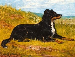 Collie In A Landscape