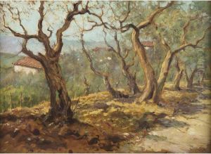 Case Tra Gli Ulivi by Michele Catti