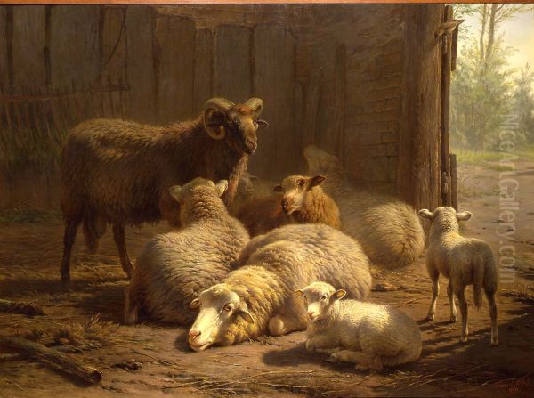 Stal met schapen - view 1