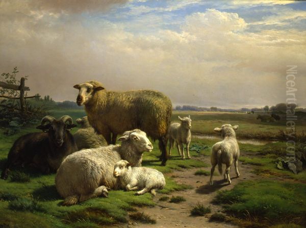 Landschap met schapen bij een hek - view 1