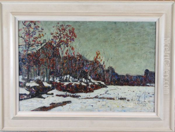 Sneeuwlandschap bij bewolkte lucht - view 1