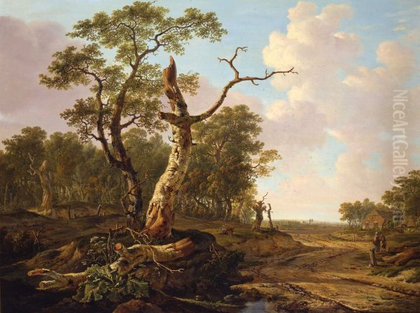 Wooded landscape - view 1