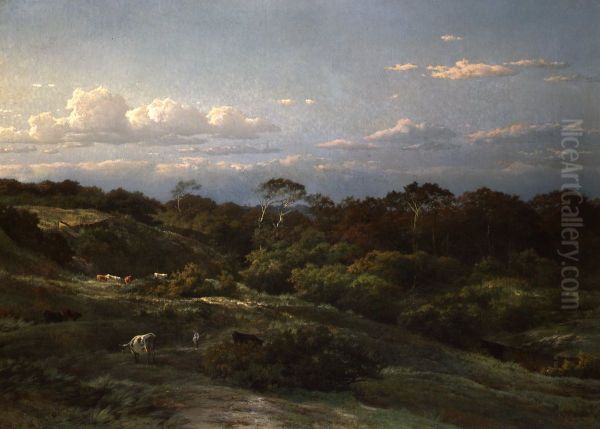 De Haarlemse duinen - view 1