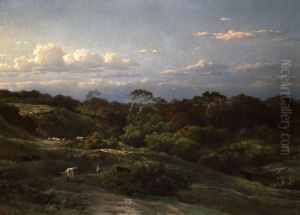 De Haarlemse duinen