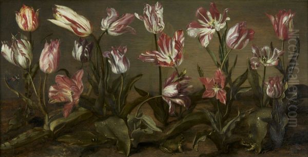 Een veldje met bloeiende tulpen - view 1