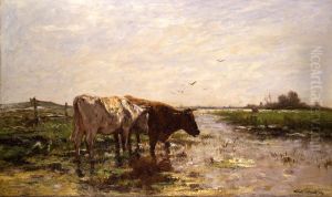 Koeien aan een plas Koeien aan een plas