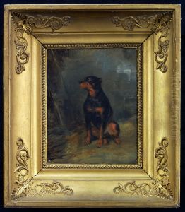 Dog Study Dog Study