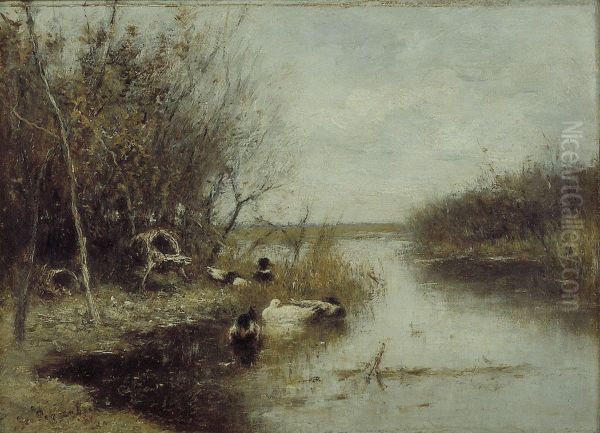 Kreekje met eendjes - view 1