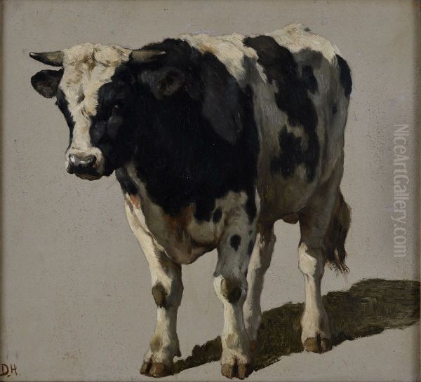 Studie van een stier - view 1