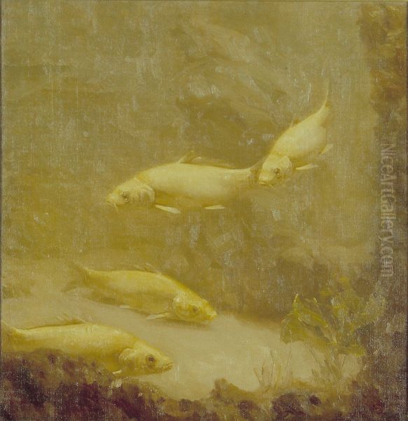 Goudvissen - view 1