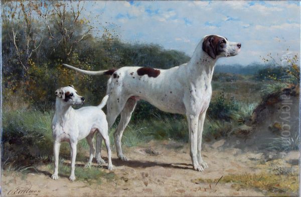 Honden - view 1