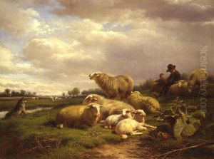 Polderlandschap met schapen