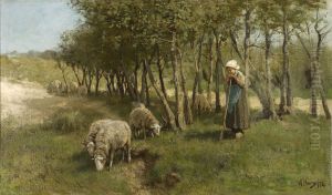 Sheep in Dekkersduin by Anton Mauve