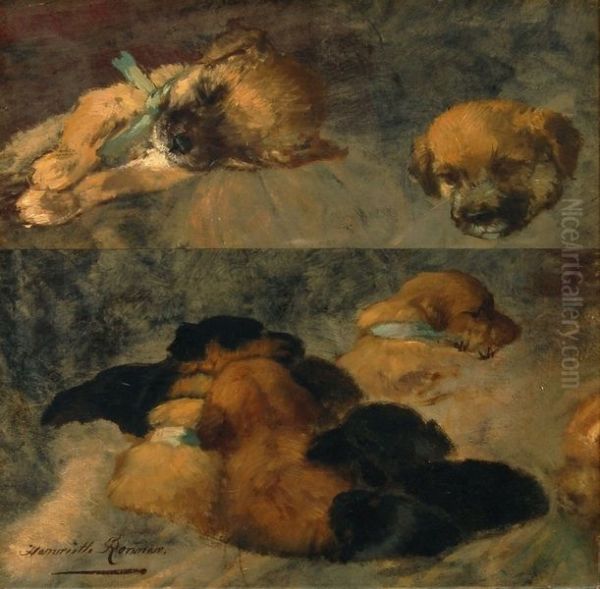 Dog Study - view 1
