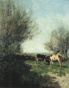 Kalveren in een weide Kalveren in een weide