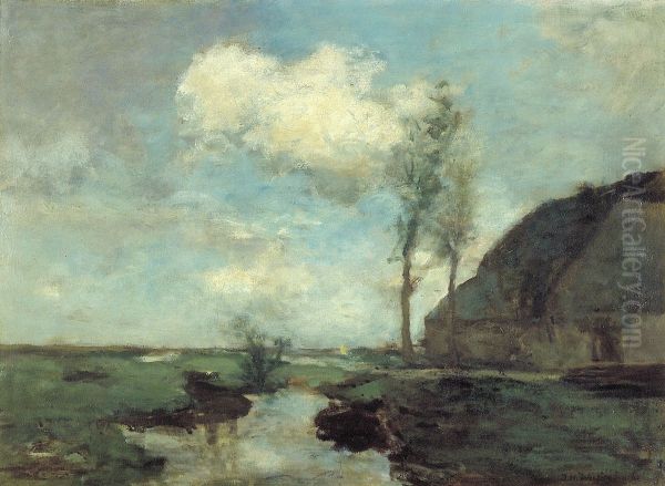 Boerderij in de polder - view 1